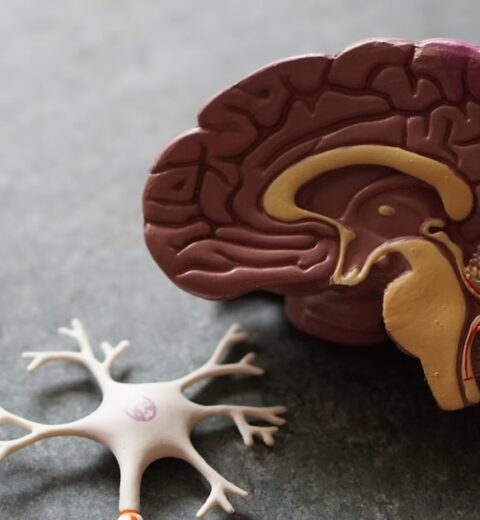 Top 10 Hospitals in Delhi NCR: Expert Guide for 2026